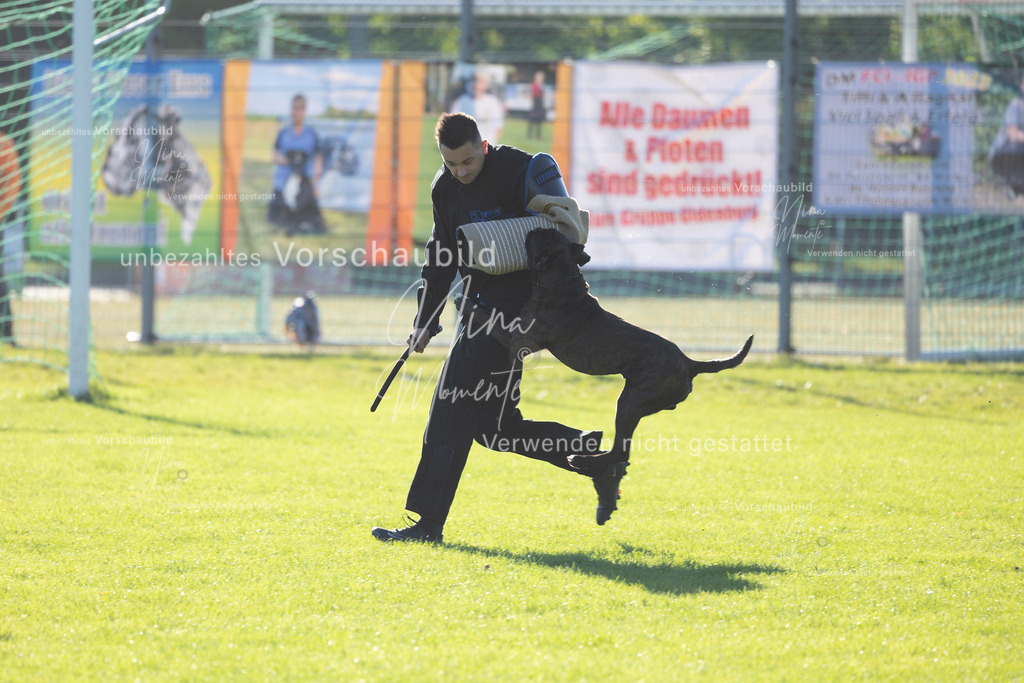 _16A4886 | Einzigartige Fotos von Hunden & Menschen –Actionfotos, Portraits, Vereinsaufnahmen & Paarshootings – authentisch, lebendig & mit Herz.