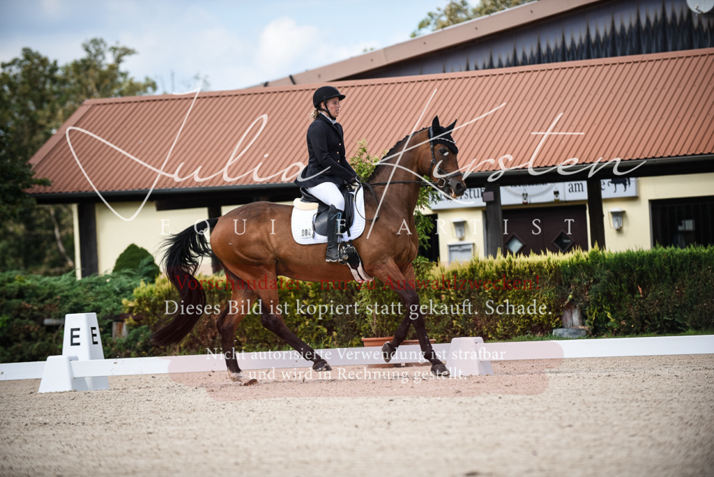 DSC_9021 | Pferde- und Turnierfotografie in Westsachsen. Pferdeportraits, Auftragszeichnungen und intuitive Kunst.