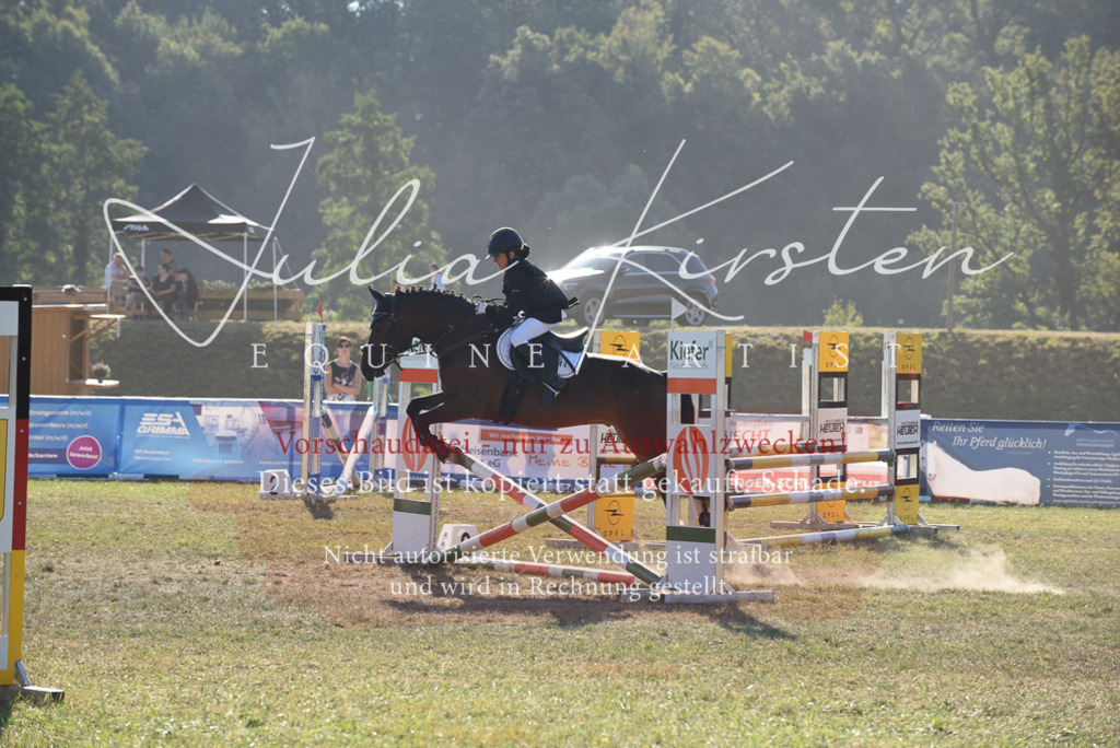 DSC_5608 | Pferde- und Turnierfotografie in Westsachsen. Pferdeportraits, Auftragszeichnungen und intuitive Kunst.