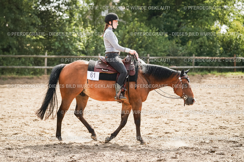 DSC05131 | Pferdegrafie