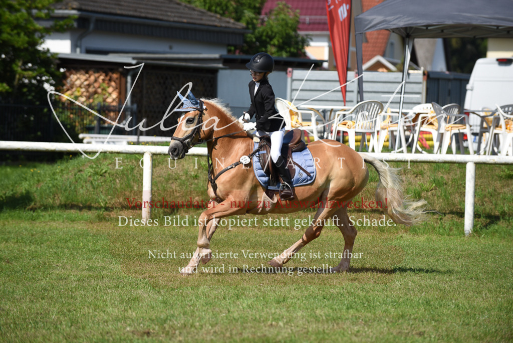 DSC_9046 | Pferde- und Turnierfotografie in Westsachsen. Pferdeportraits, Auftragszeichnungen und intuitive Kunst.