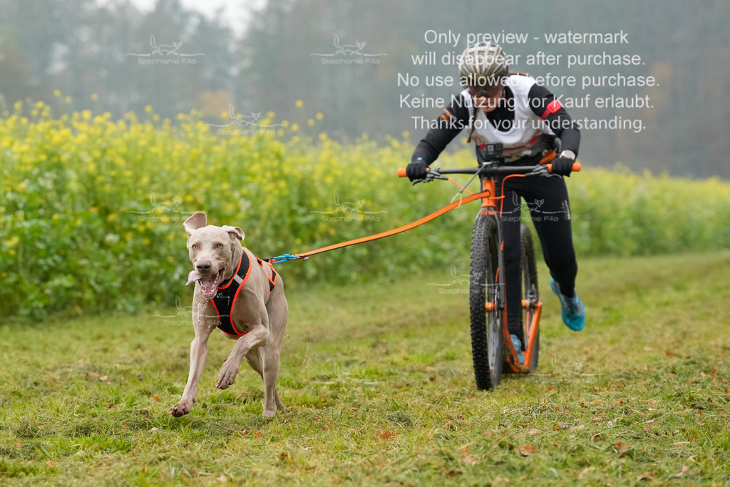 Visbeck_Sa_Scooter_Hc-69 | stephaniefillaphotographie - Realisiert mit Pictrs.com