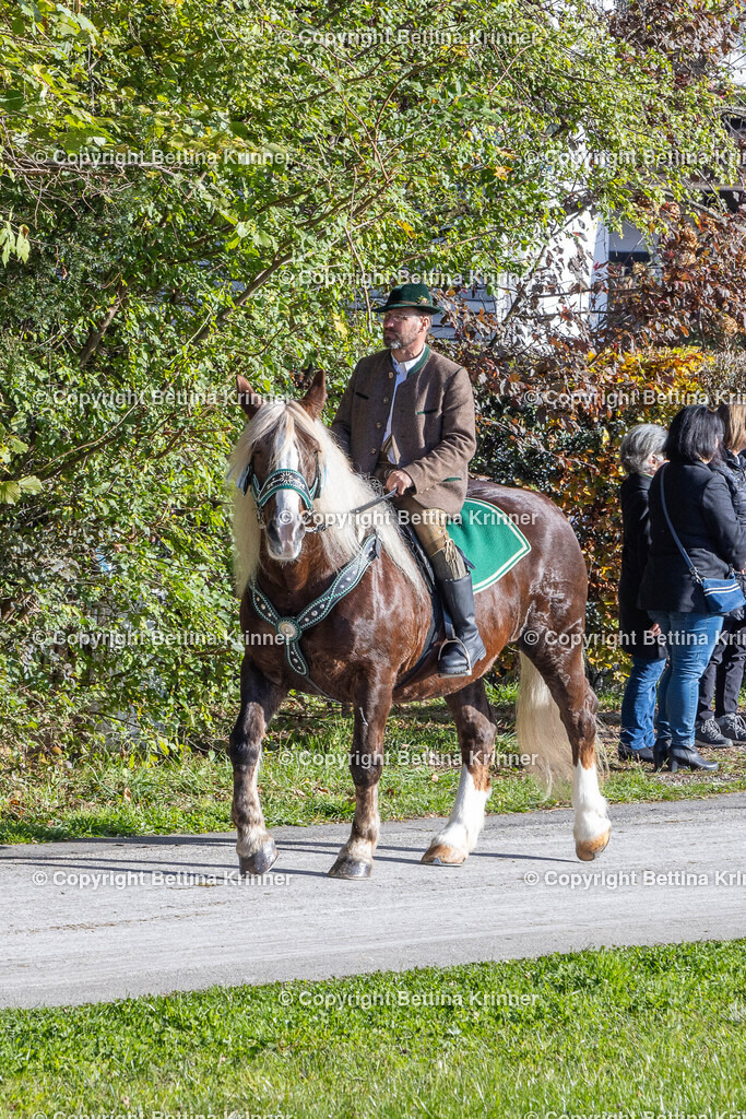 LBT24-914 | foto-bettina-krinner - Realisiert mit Pictrs.com