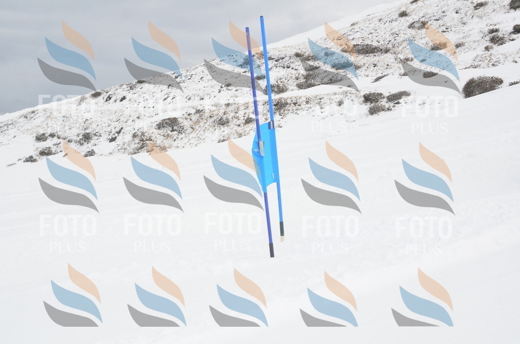 A5833 | holidayphoto