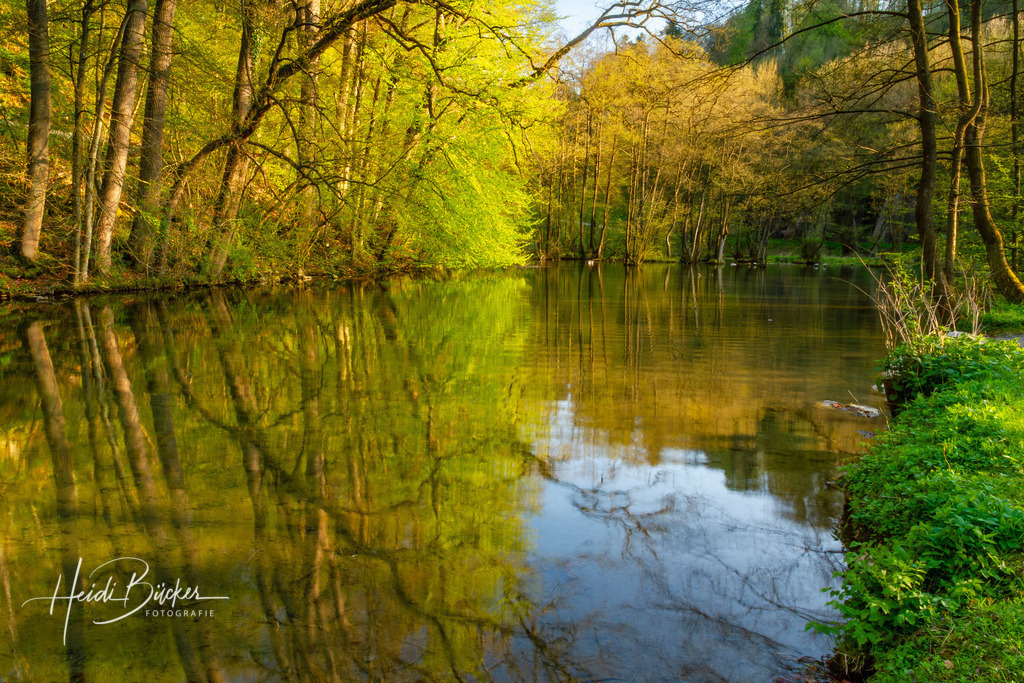 Almequellen bei Brilon | Almequellen bei Brilon - Realisiert mit Pictrs.com