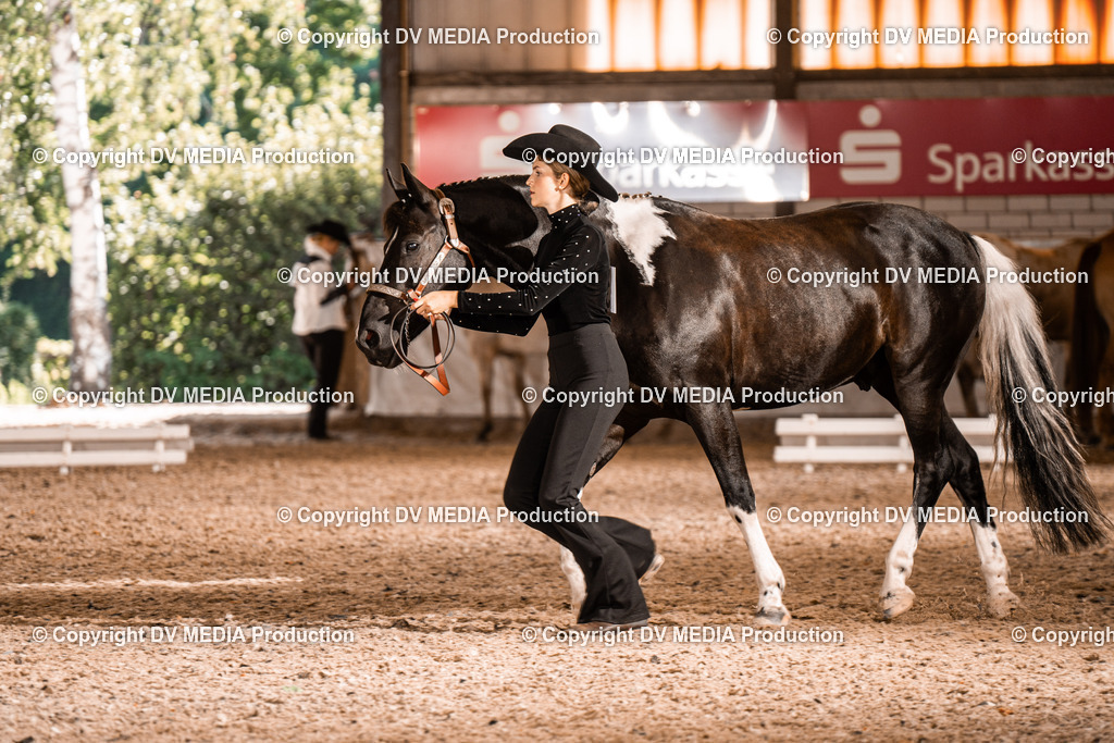 ZH100232 | dv-media-shop - Realisiert mit Pictrs.com