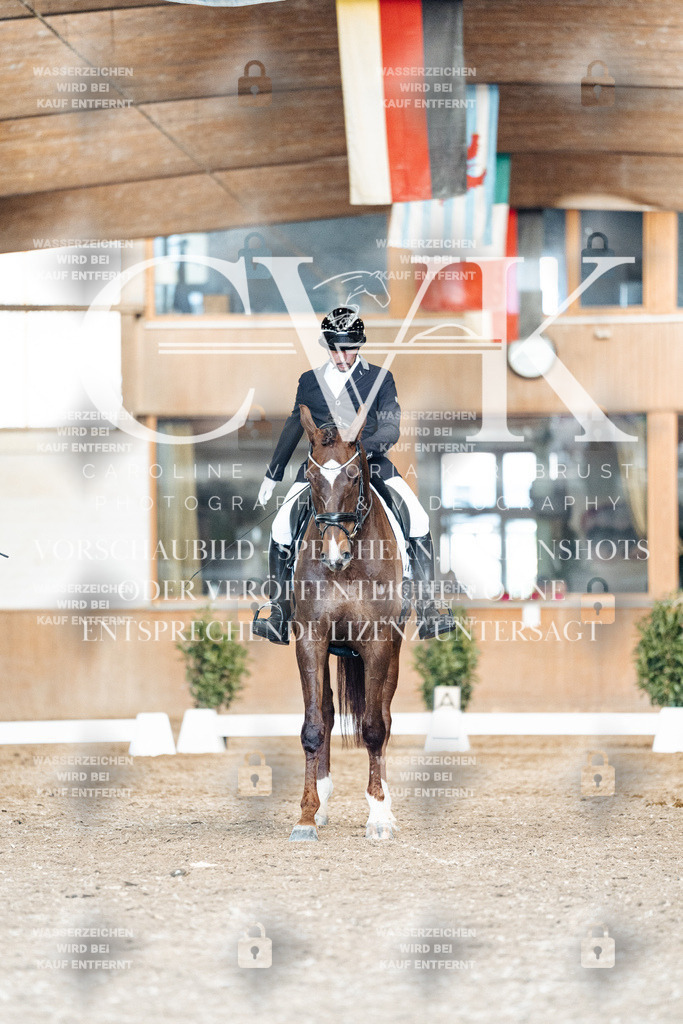 CK901653 | Turnierfotografie Pferdefotografie Trier Rheinland-Pfalz Pferdesport Reitsport Tierfotografie Sportfotografie Pferdevideo Pferdevideografie Equestrianvideography equestrianphotography  - Realisiert mit Pictrs.com