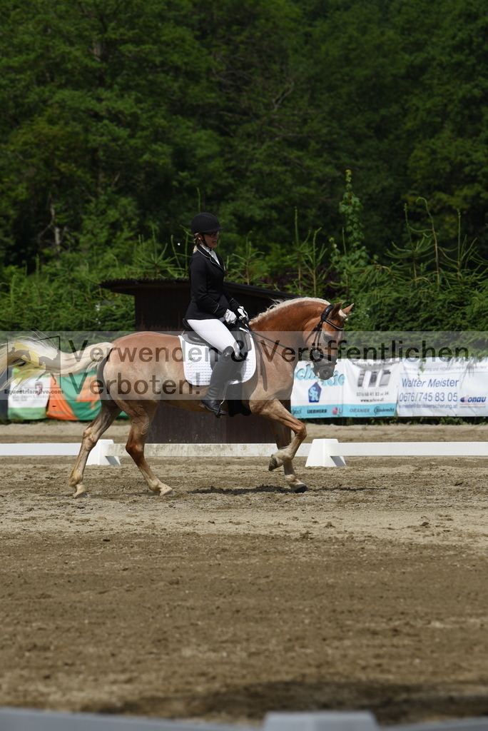 DSC_8527 | equestrian-live-com
