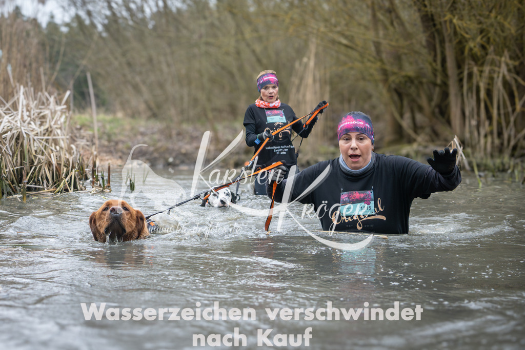 1001_ZZ94994 | kk-dogfotos