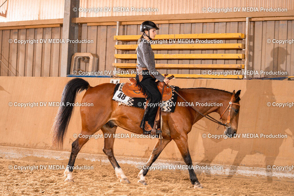 Losheim Tag 2-430 | dv-media-shop - Realisiert mit Pictrs.com