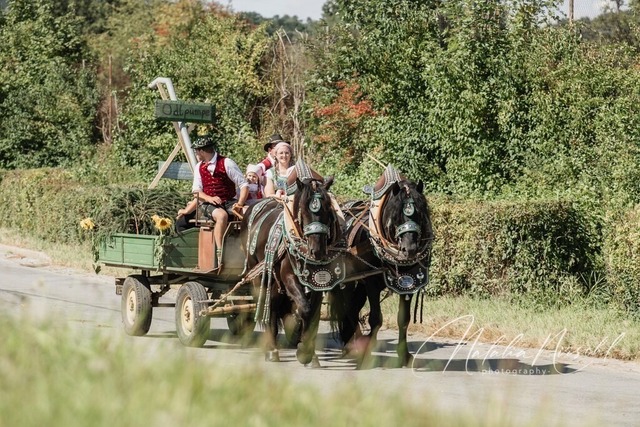 7V6A2143 | natalia-nirschl-photography