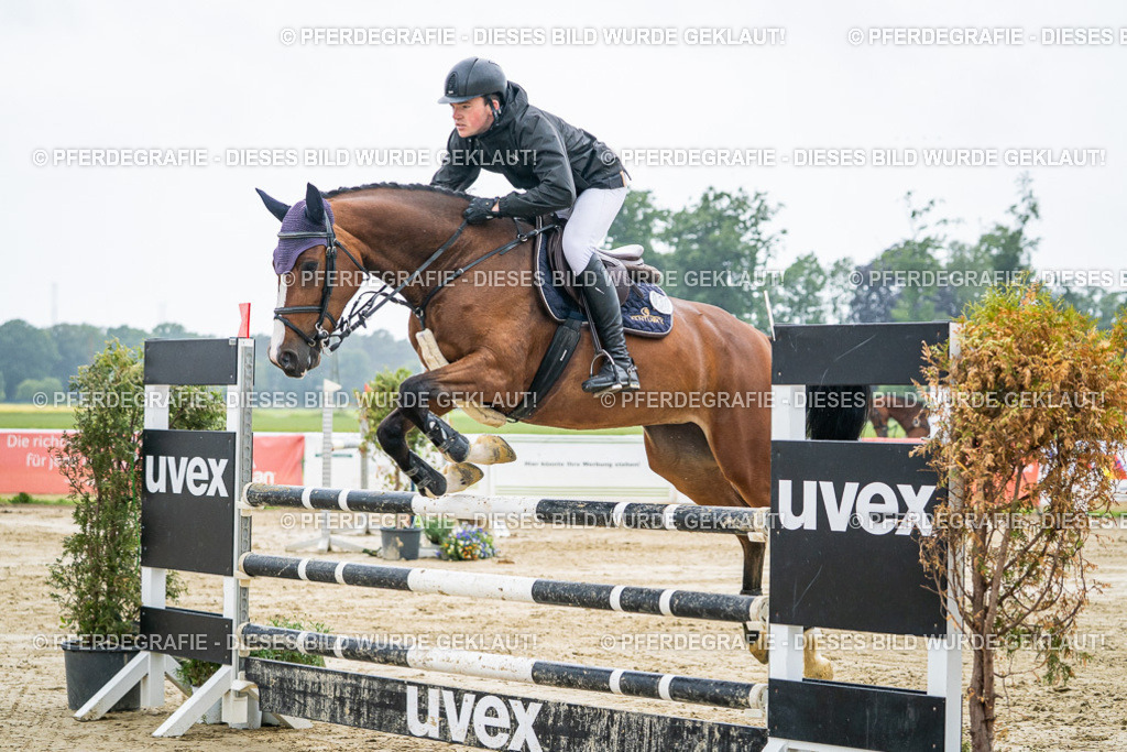 DSC02154 | Pferdegrafie