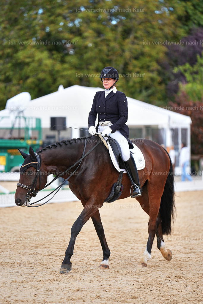 6-174-AMATUER-DRESSUR S_  -Marixx-3712 | working equitationturnier fotograf videograf stoibphotography marixx film working equitation deutschland reitsport turnierfotografie eventfotografie equestrian events