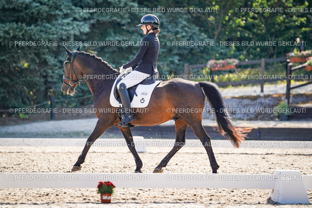 DSC09964 | Pferdegrafie