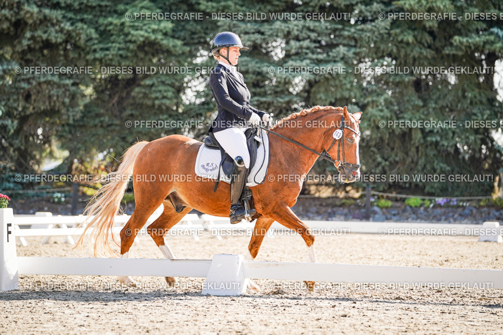 DSC09985 | Pferdegrafie