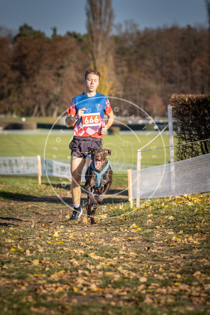 CaniXpix_DV3A0772 | Hundefotografie, Tierfotograf, Pfotenfotografie, Fotoshooting Hund, Hunde Portrait, Hundesport, Hundeportraits, Heideshooting, Hunde, Sportfotograf, Hundefotograf, Turnierhundsport, THS,  - Realisiert mit Pictrs.com