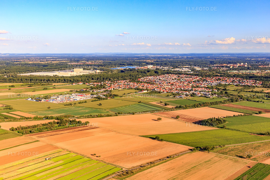 Luftbild: Ortsansicht von Westen in Lingenfeld im Bundesland Rheinland-Pfalz in Deutschland. Foto: IMG_116678.jpg vom 14.08.2019 durch Werner Riehm/FLY-FOTO.de
