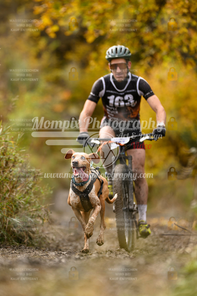 MompixPhotography_ICF_WC_2024_SA_Bike_-210 | PayLife