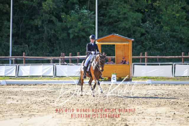 DKP42804 | Turniersportfotografie; Pferdefotografie; Dressurfotografie