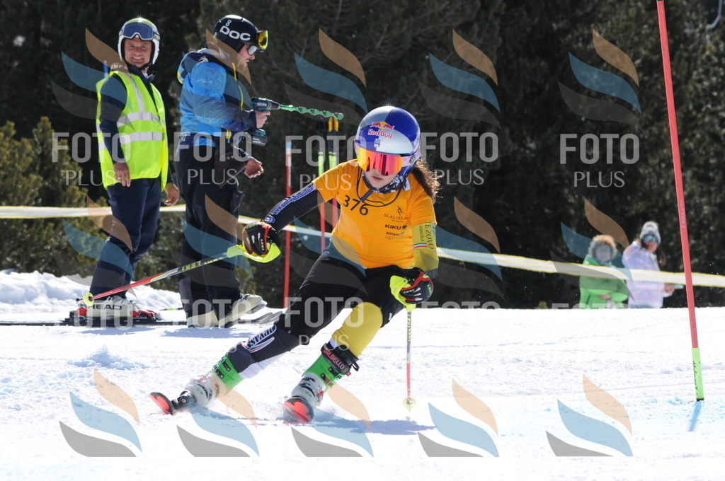 C9259 | holidayphoto