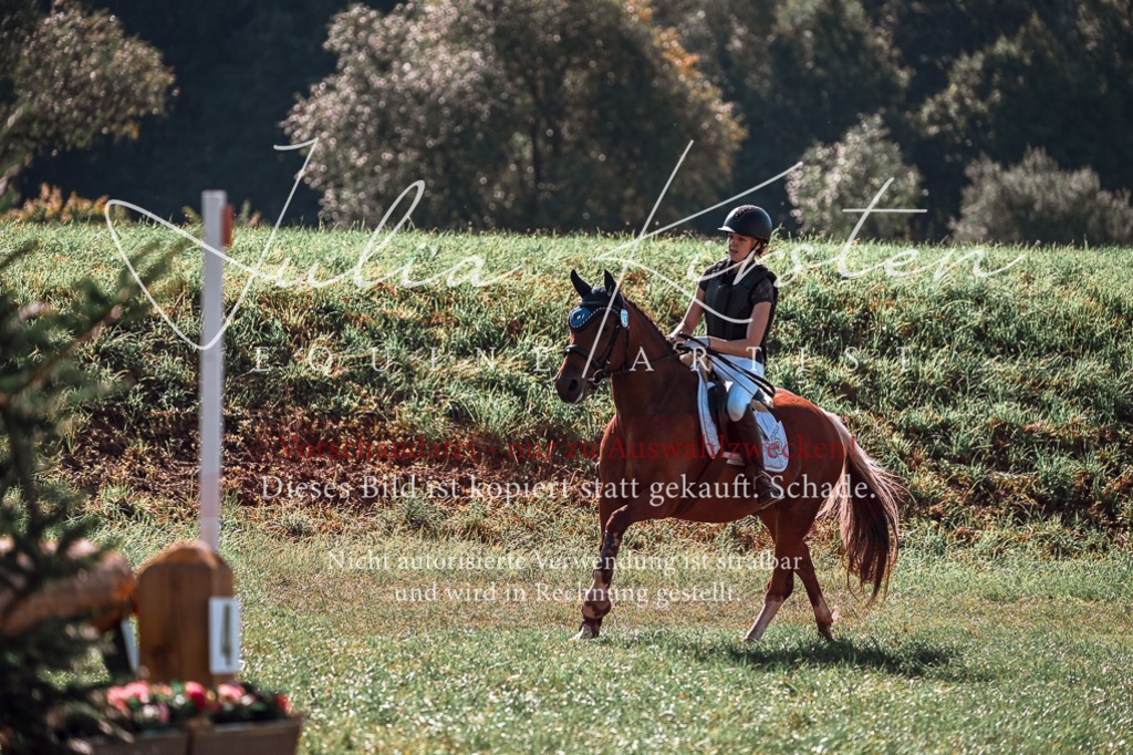DSC_0922 | Pferde- und Turnierfotografie in Westsachsen. Pferdeportraits, Auftragszeichnungen und intuitive Kunst.