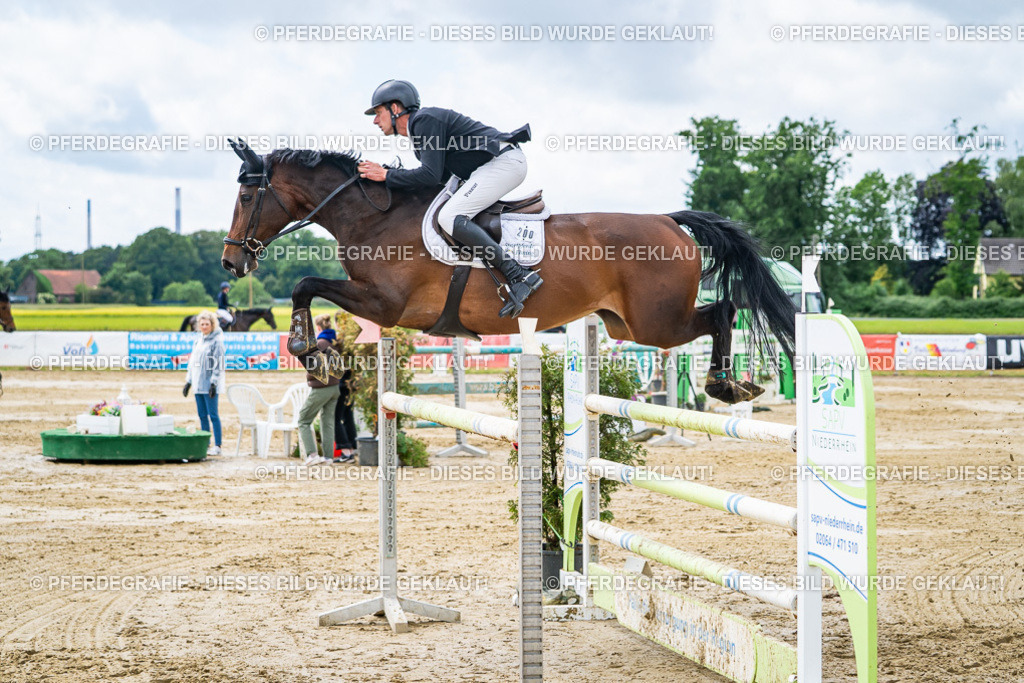 DSC04723 | Pferdegrafie