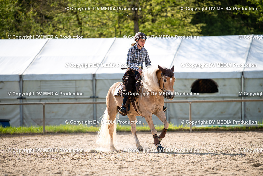 Heiligenwald Tag 1-0992 | dv-media-shop - Realisiert mit Pictrs.com