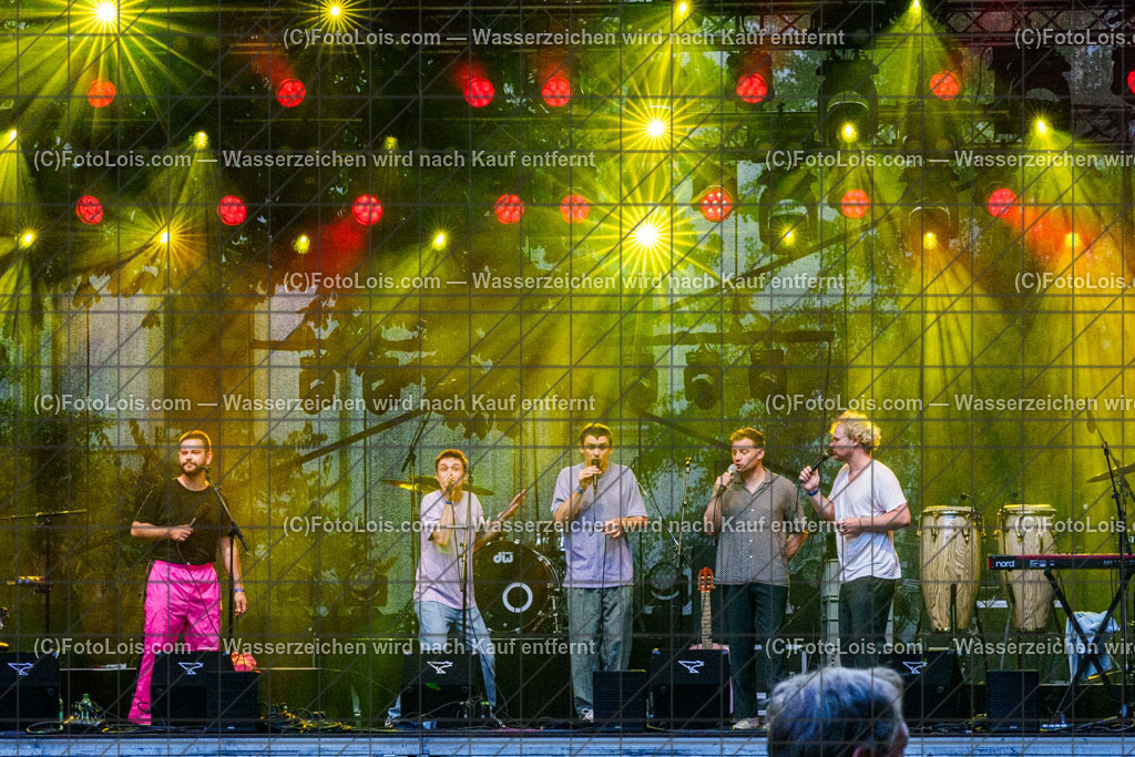 ALP9052_Hiesige-Dosige_Kulturpark | Festival HIESIGE 6 DOSIGE am 8. August 2025