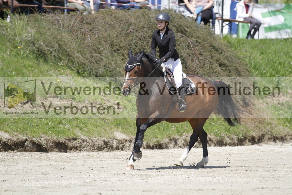 _MG_0285 | equestrian-live-com
