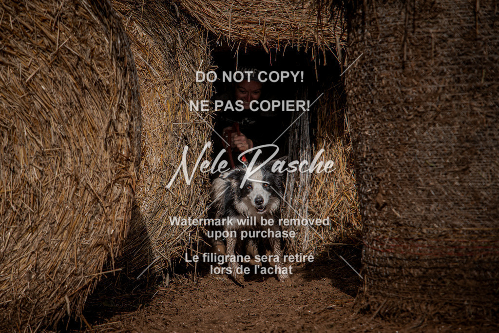 nelerasche_Hunsrück_So13-Ende_29 | nelerasche