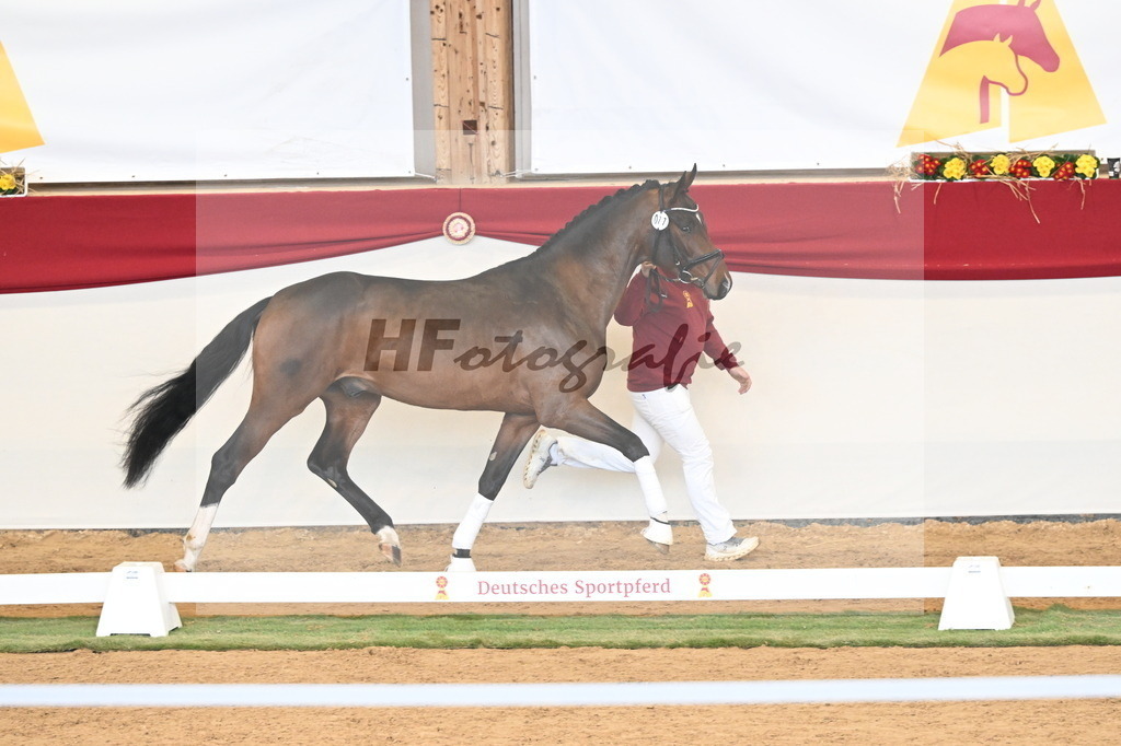 Kat.-Nr. 77 v. Taurus_Casper und Eulich_3261037 | hf-fotografie - Realizzato con Pictrs.com