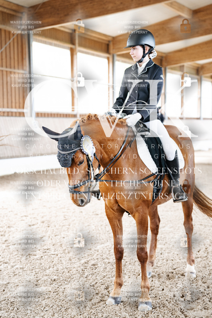 CK703328 | Turnierfotografie Pferdefotografie Trier Rheinland-Pfalz Pferdesport Reitsport Tierfotografie Sportfotografie Pferdevideo Pferdevideografie Equestrianvideography equestrianphotography  - Realisiert mit Pictrs.com