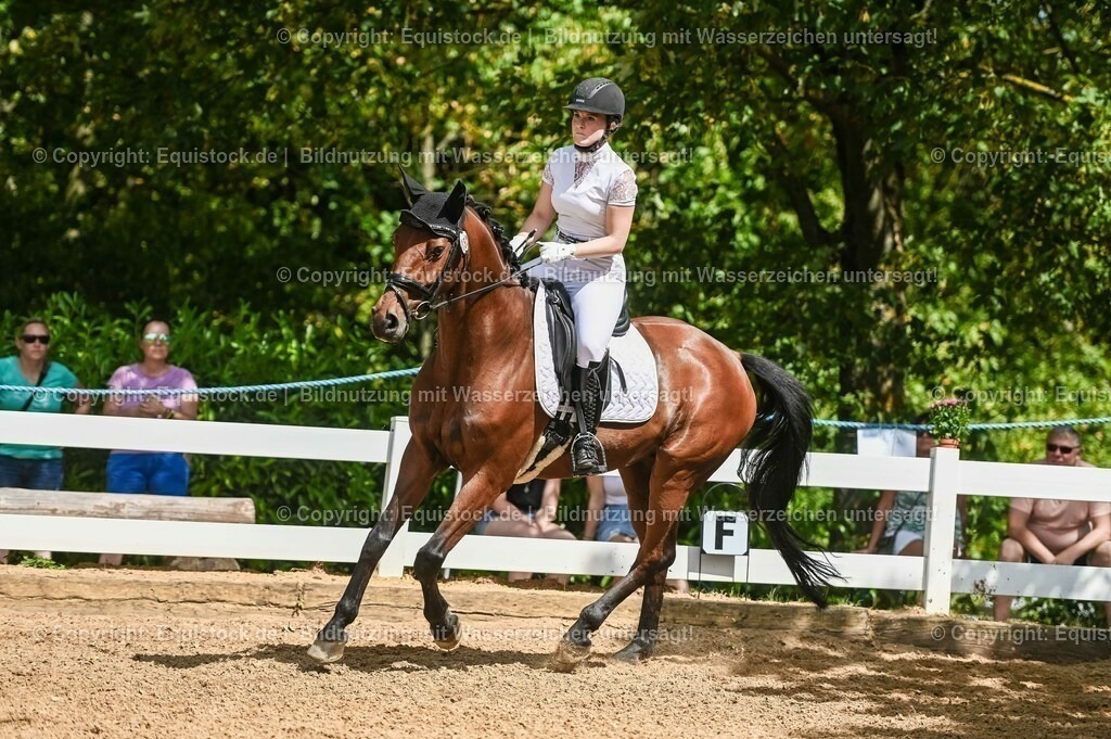 20230715_02_Dressurreiterprüfung Kl.L_0211 | equistock