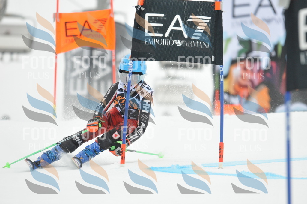 DSC_7895 | holidayphoto