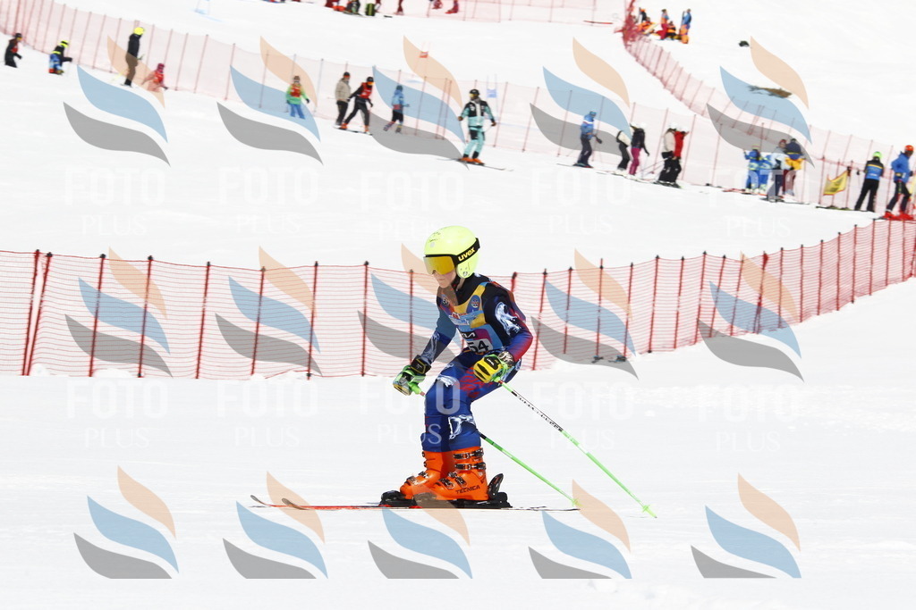 _U3G4181 | holidayphoto