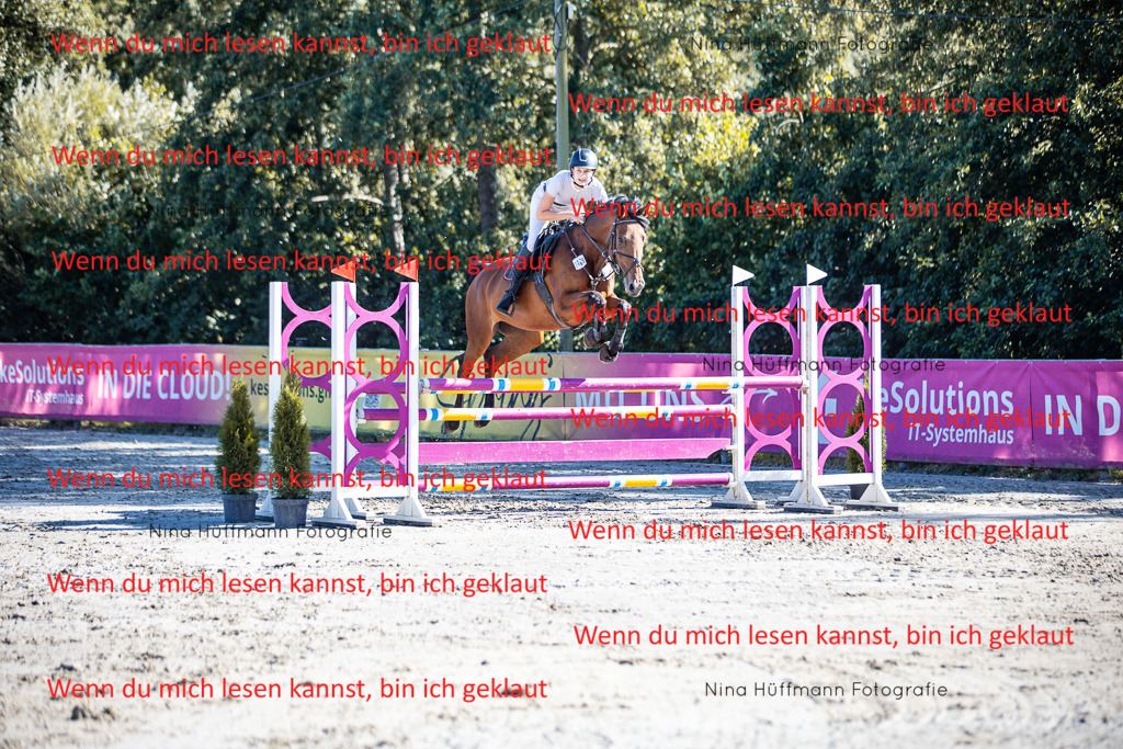 BK1A5856 | Turnierbilder Turnierfotos Nina Hüffmann Turnierfotografie Pferdefotografie Tierzeichnung Haustierzeichnung Pferdezeichnung Hundezeichnung Videograf  - Realisiert mit Pictrs.com