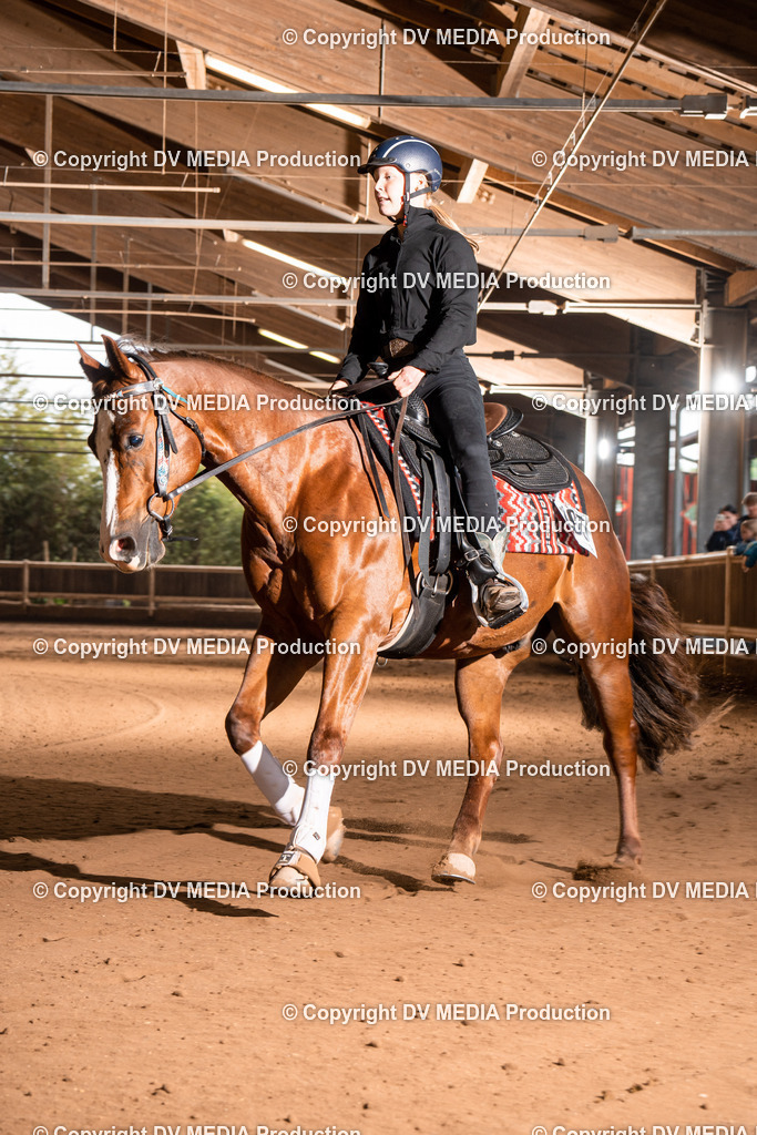 Erbach Tag 2-752 | dv-media-shop - Realisiert mit Pictrs.com