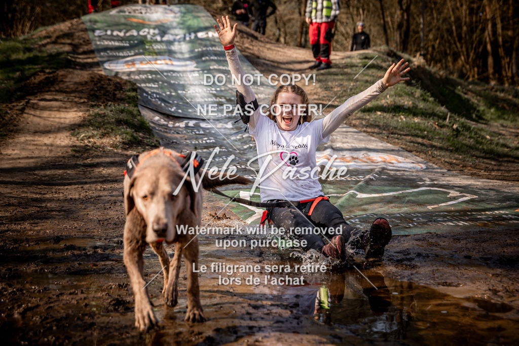 nelerasche_Hulsbeek_So1100-1130_90 | nelerasche