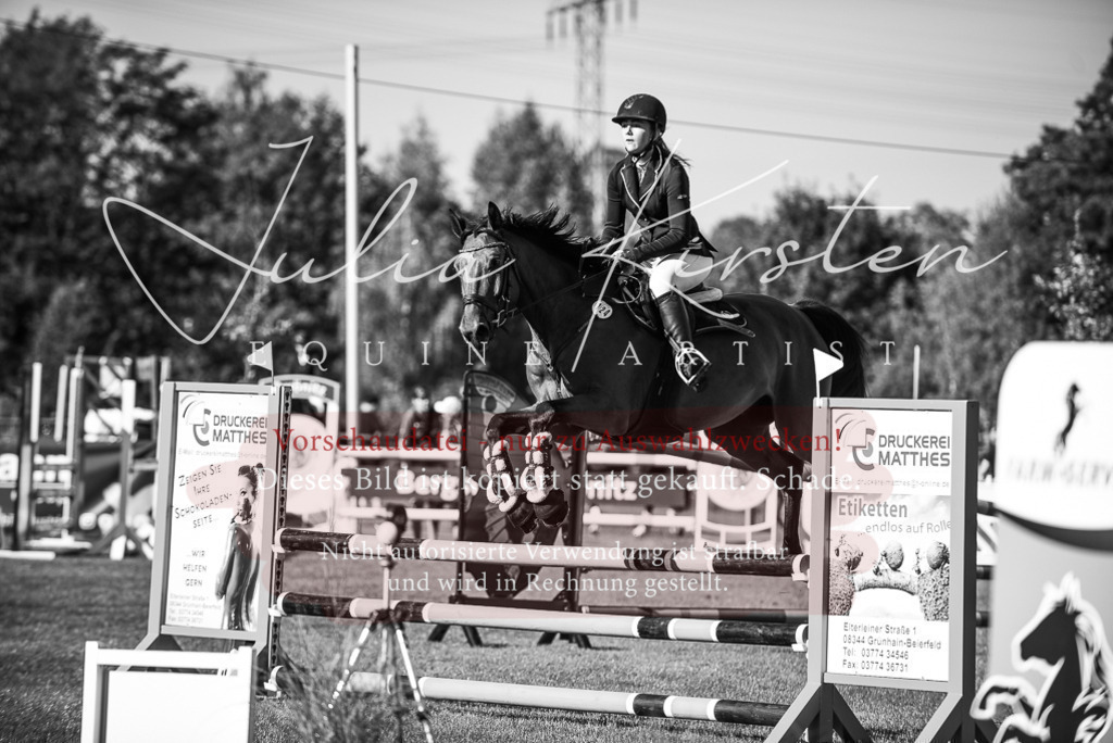 DSC_2229 | Pferde- und Turnierfotografie in Westsachsen. Pferdeportraits, Auftragszeichnungen und intuitive Kunst.