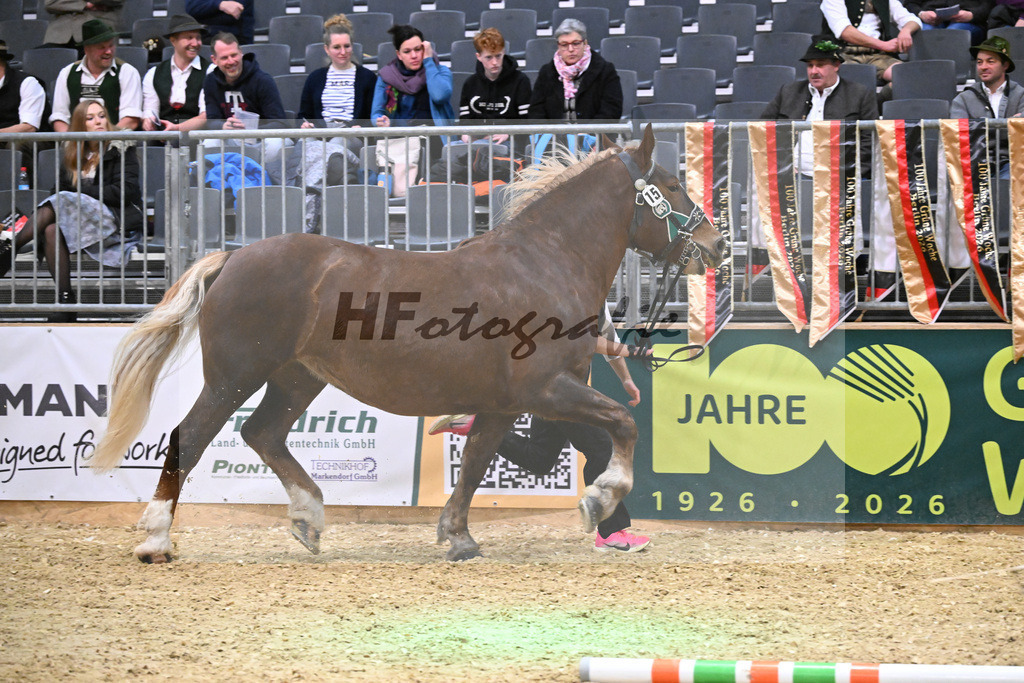 Kat-Nr. 15 Edelfee v. Vestus_Strauss_1260251 | hf-fotografie - Realisiert mit Pictrs.com