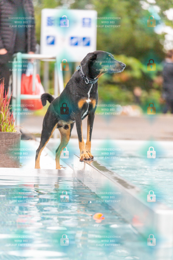 _HP_7350_1000o | HetPix, HetPix Fotodesign, Fotografie, Fotodesign, Webshop, Sportfotografie, Portraitfotografie, Onlineshop, Sportfotografie, Polch, Motorsportfotografie, Eventfotografie