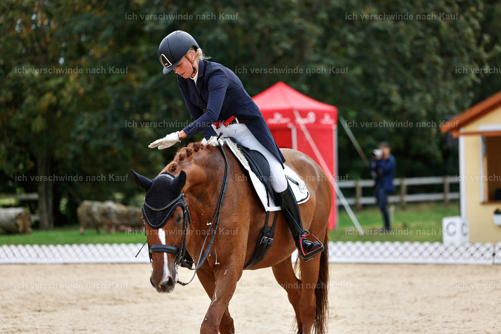 11-238-Dressur S___-StoibPH-999 | working equitationturnier fotograf videograf stoibphotography marixx film working equitation deutschland reitsport turnierfotografie eventfotografie equestrian events