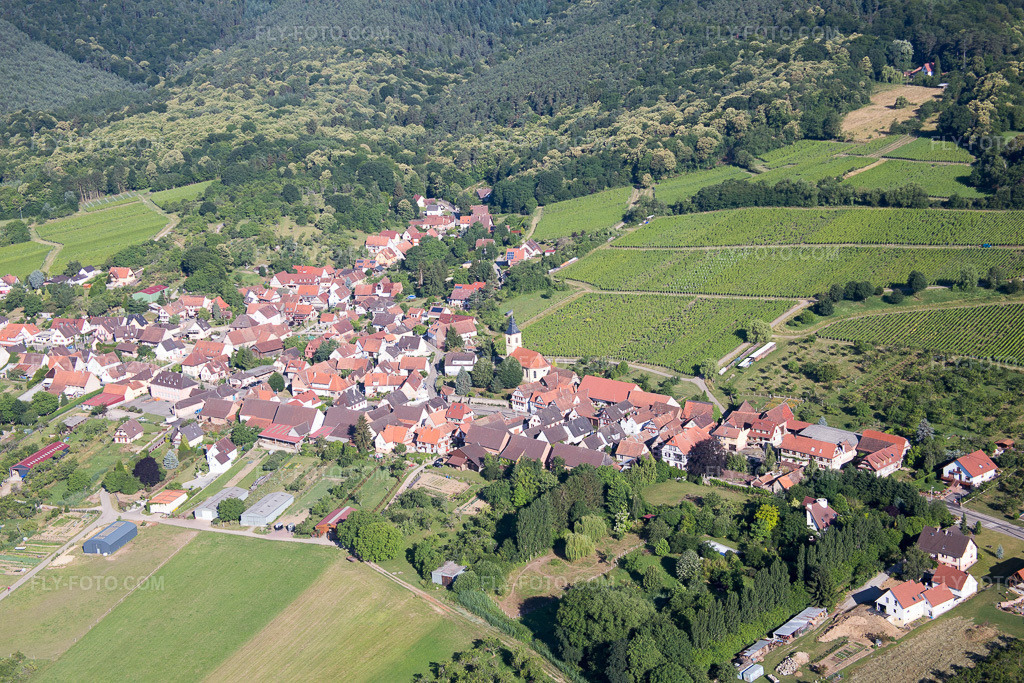Aerial view: View of the town in Rott in the state Bas-Rhin, France.Photo: IMG_083006.jpg taken on 06/26/2015 by Werner Riehm/FLY-FOTO.comResolution of the original: 5472 x 3648 px