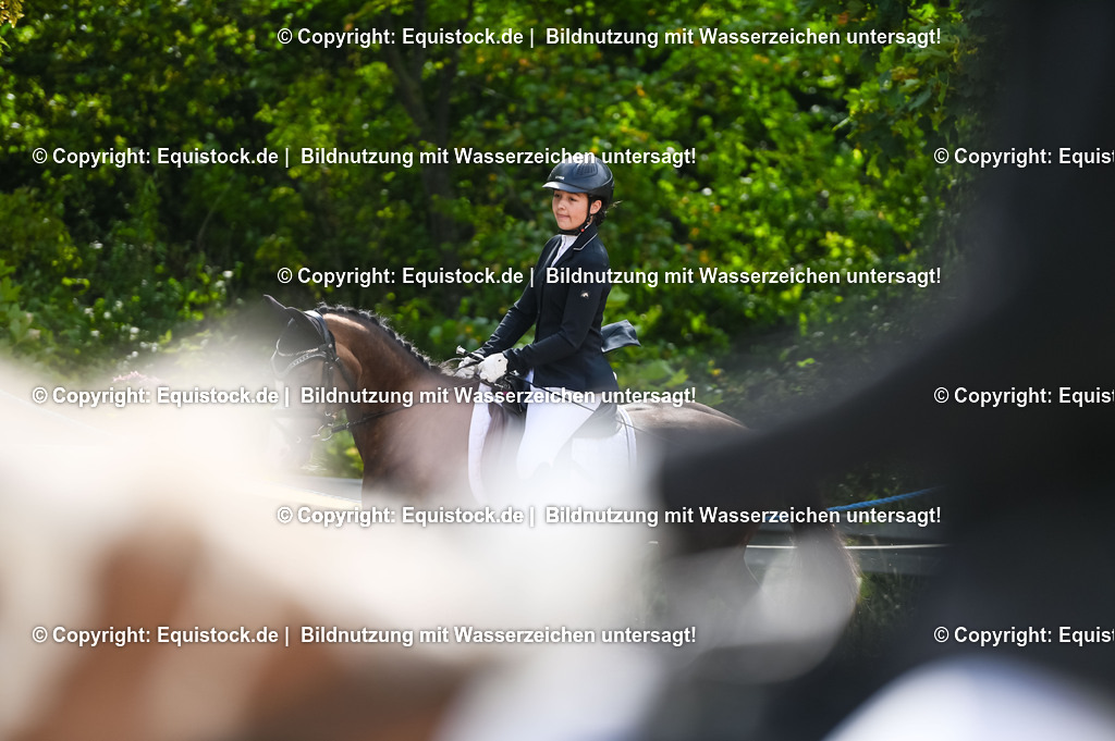 20230716_10-1_Reiter-WB Schritt - Trab - Galopp_0185 | equistock