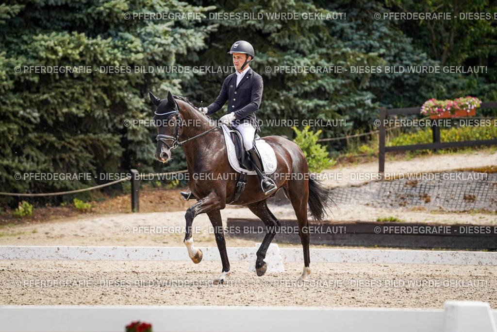 DSC00126 | Pferdegrafie