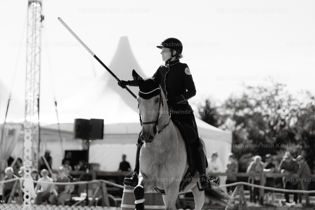 Diana11_FHC2025-09023 | working equitationturnier fotograf videograf stoibphotography marixx film working equitation deutschland reitsport turnierfotografie eventfotografie equestrian events