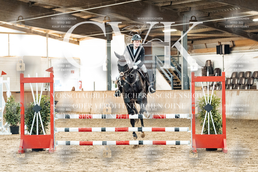 CK904186 | Turnierfotografie Pferdefotografie Trier Rheinland-Pfalz Pferdesport Reitsport Tierfotografie Sportfotografie Pferdevideo Pferdevideografie Equestrianvideography equestrianphotography  - Realisiert mit Pictrs.com