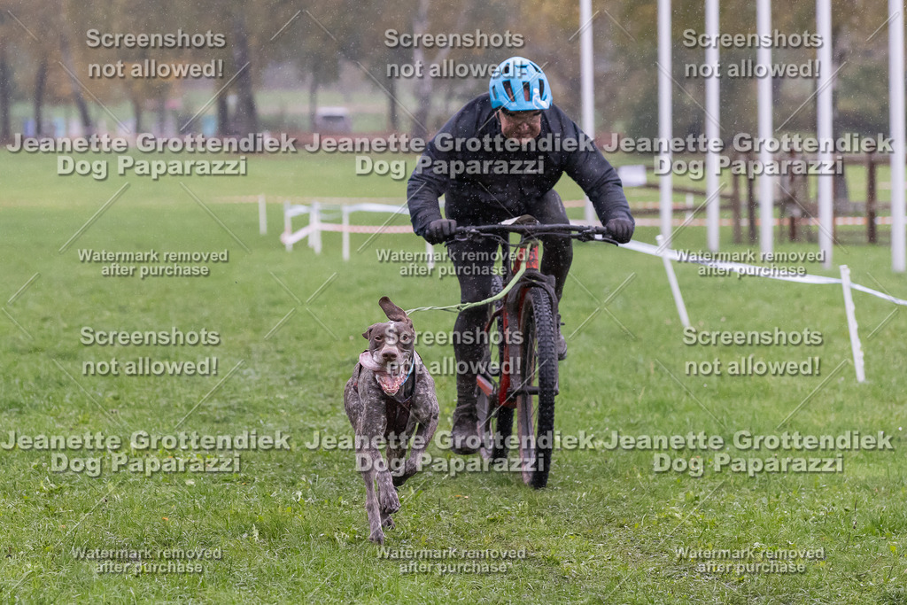 Dog Paparazzi - SD CaniX Championship 2025-916 | Dog Paparazzi Jeanette Grottendiek Fotografie & Videografie - Realisiert mit Pictrs.com