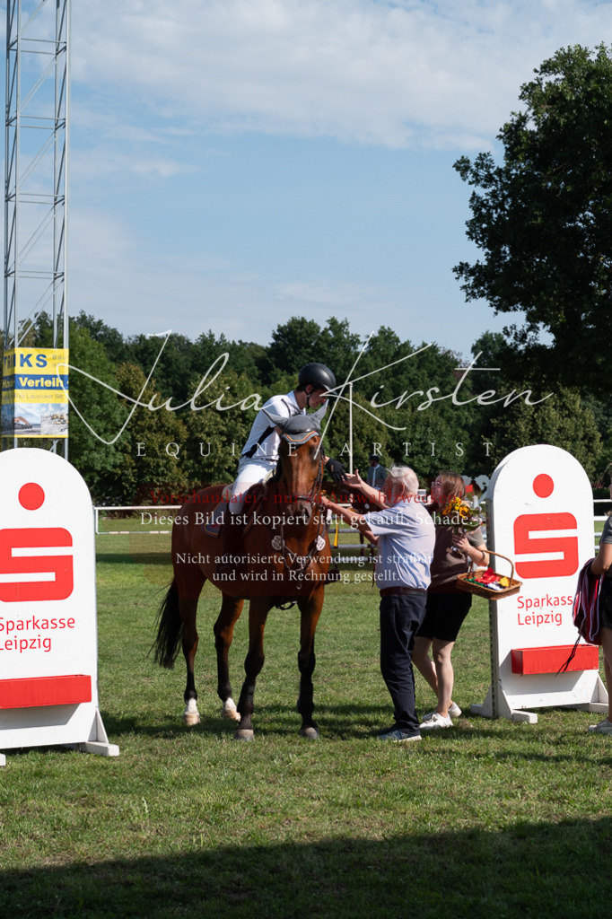 DSC_1015 | Pferde- und Turnierfotografie in Westsachsen. Pferdeportraits, Auftragszeichnungen und intuitive Kunst.