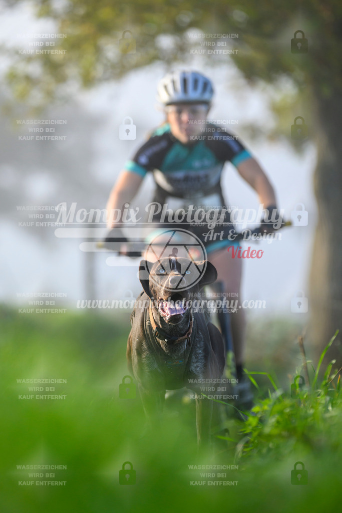 MompixPhotography_20TSB_E3_Bike-125 | PayLife